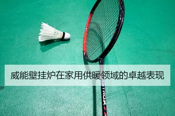 威能壁挂炉在家用供暖领域的卓越表现