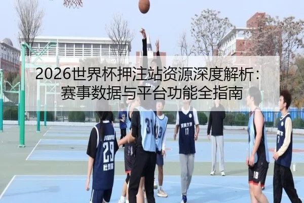 2026世界杯押注站资源深度解析：赛事数据与平台功能全指南
